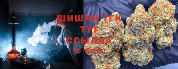 стафф Осинники