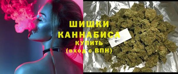 стафф Осинники