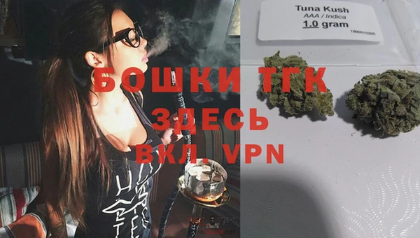 стафф Осинники